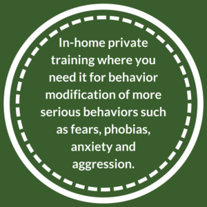 In-Home Private Dog Training for behavior modification